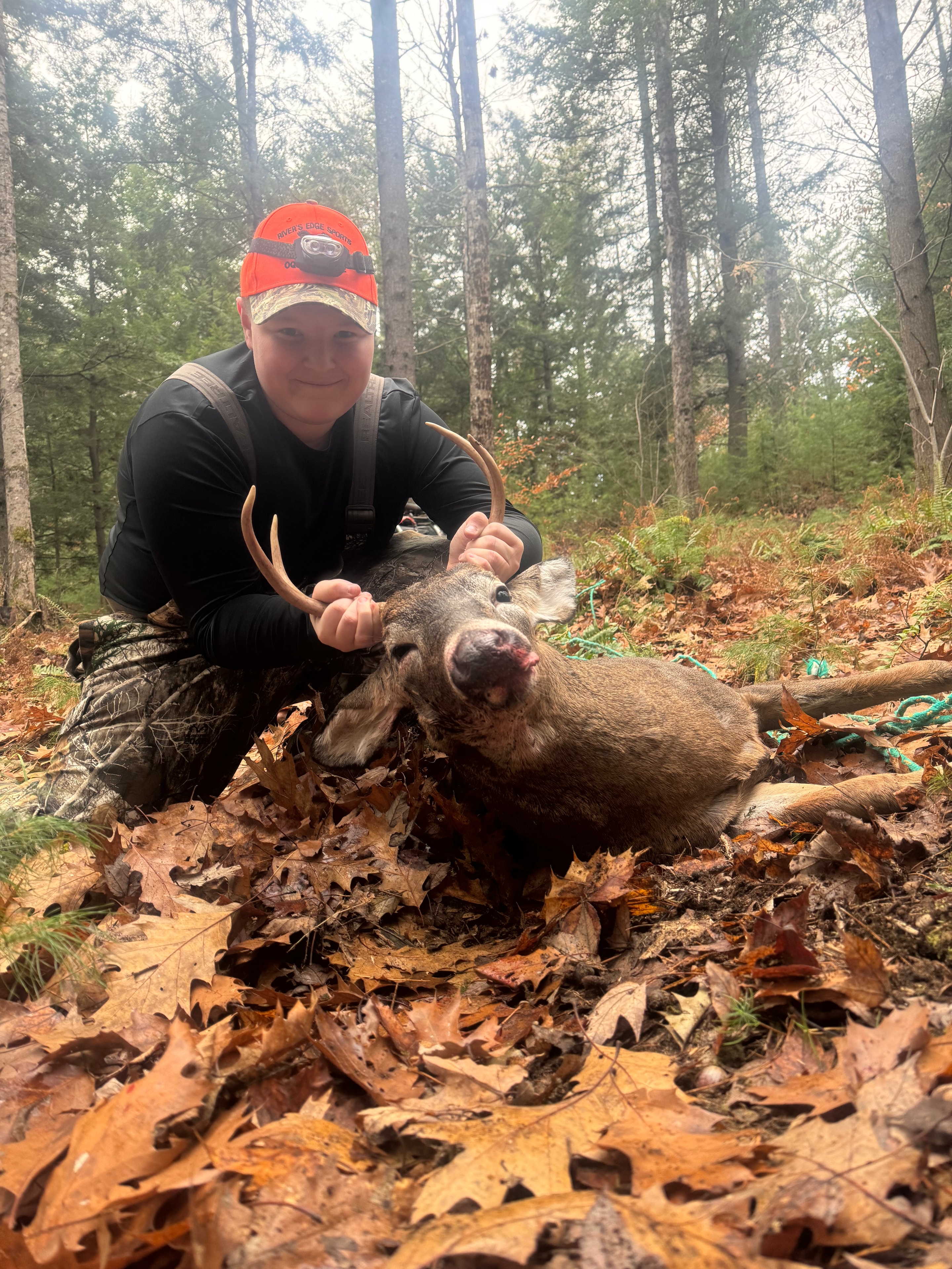 Buck harvest